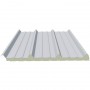 Polar roof